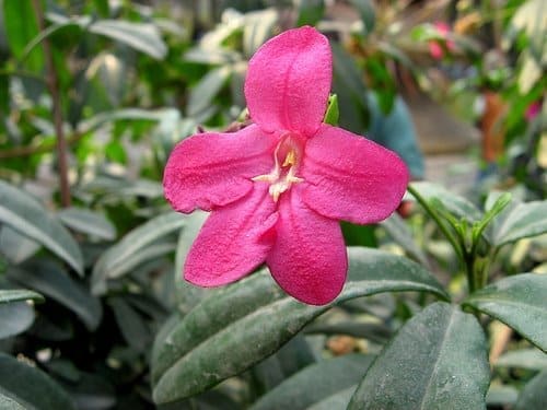 Best kids school near me